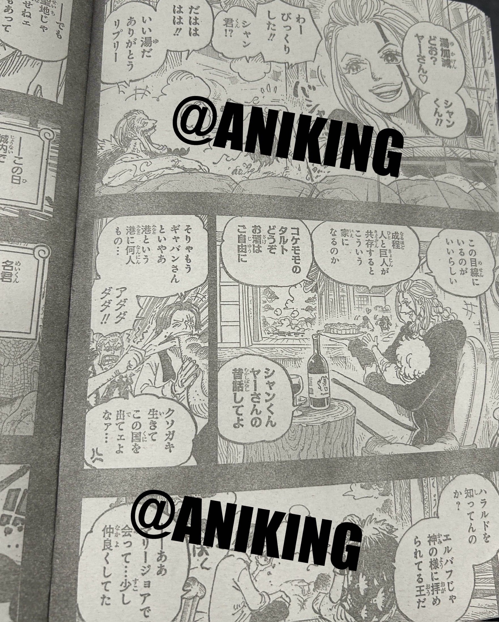       One   Piece Une terrible journee Page 29
